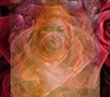 mere-divine.jpg
